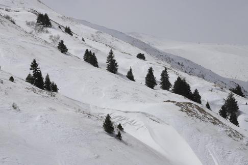 Empty field white painting 7