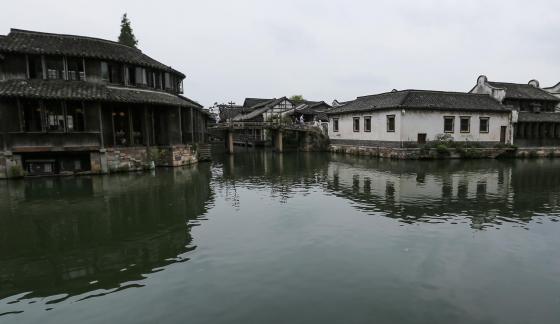 Singing on the green waves 4