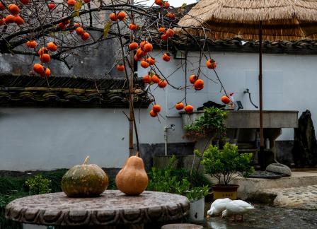 Courtyard in the Rain