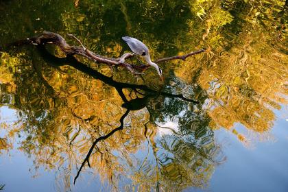 ColorsandMoment2025