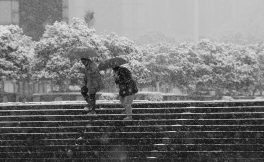 Snowflakes Dancing in the World 31
