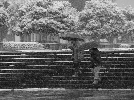 Snowflakes Dancing in the World 32