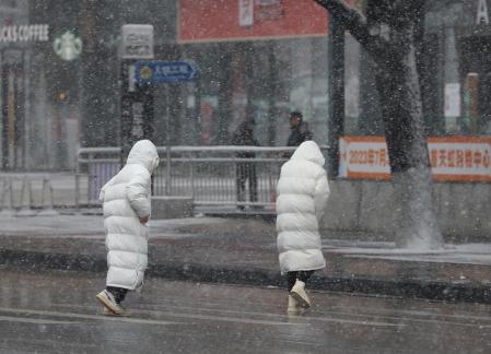 Snowflakes Dancing in the World 22