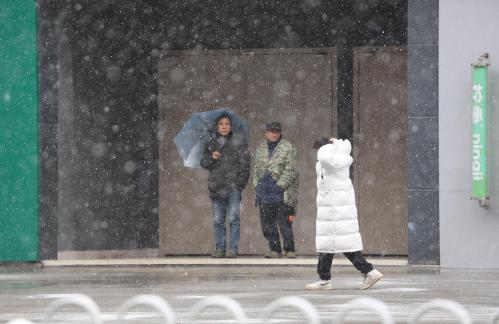 Snowflakes Dancing in the World 23