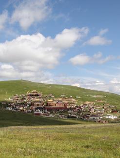 Human Buddhist Kingdom 20