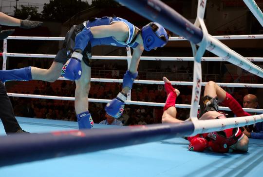Knockdown 