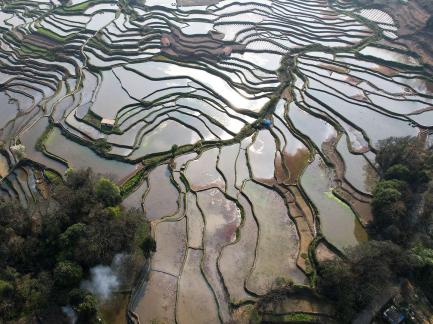 Terraced fields scenery 49