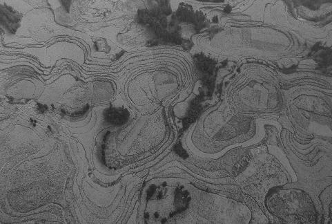 The Poetry of the Earth 44