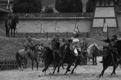 Equestrian performance 37