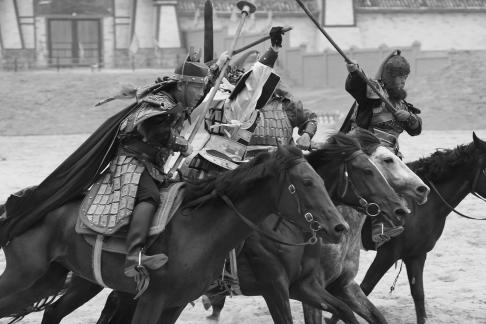 Equestrian performance 40