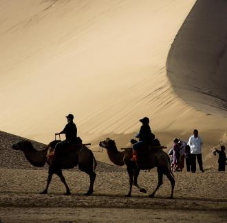 Desert Journey 17