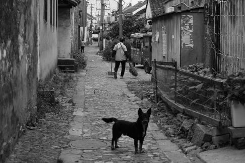 Dream of Jiangnan 23