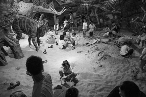 Aquarium Tour 10
