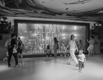 Aquarium Tour 11