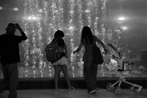 Aquarium Tour 12