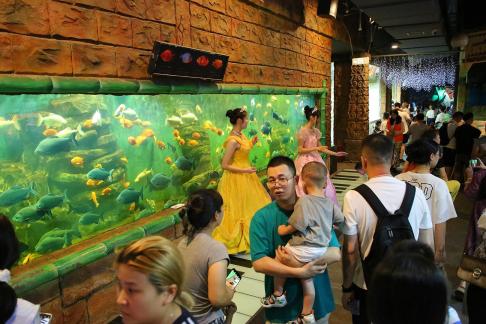 Aquarium Tour 1
