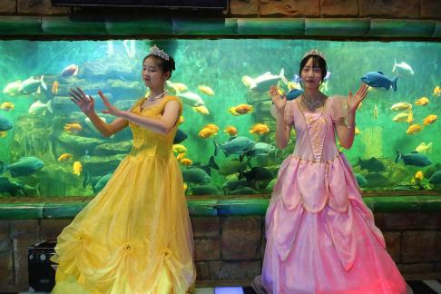 Aquarium Tour 2
