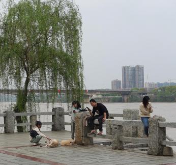 If I were in Jiangnan 5