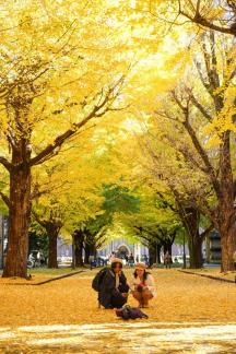 Taking photo under the ginkgotree