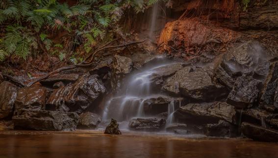 Wet Rocks