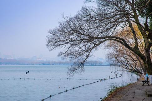 Flying in West Lake