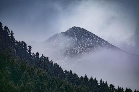 Trees and mountains