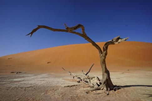 Deadvlei_10