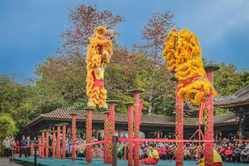 Lion dance B