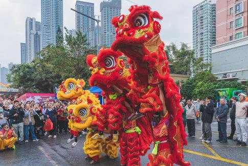 Dancing lion to welcome spring R