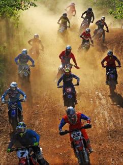 Motocross Herd