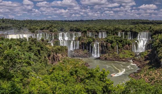 Iguazu Falls 100