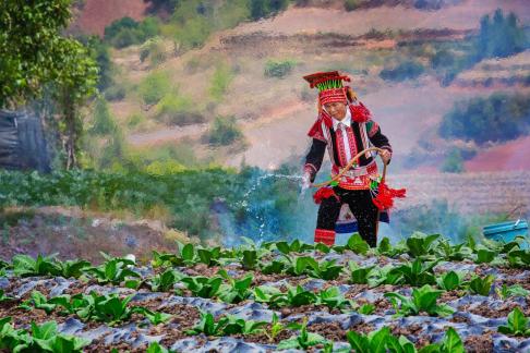 Irrigation