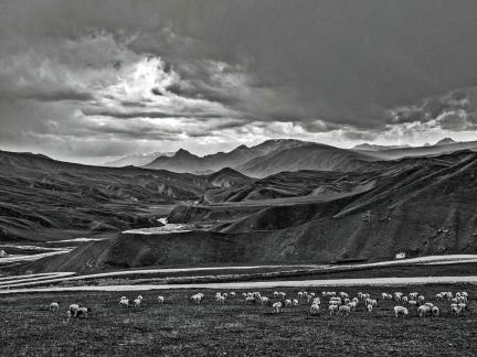 Summer Ranch