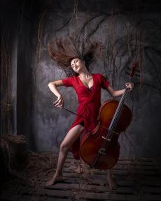 The red violist