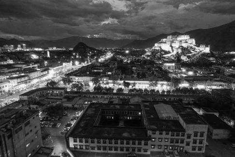 Red and White Symphony 17