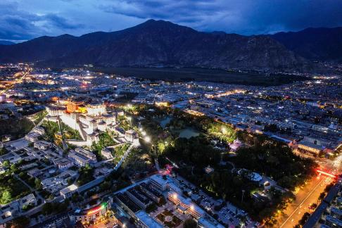 Red and White Symphony 14