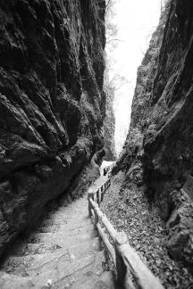 Mountain View Ancient Road 8