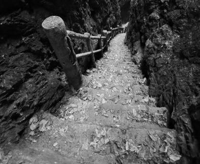 Mountain View Ancient Road 9