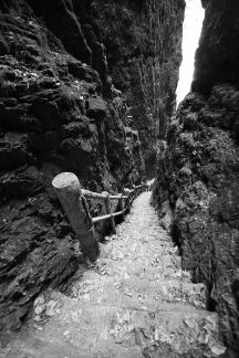 Mountain View Ancient Road 10