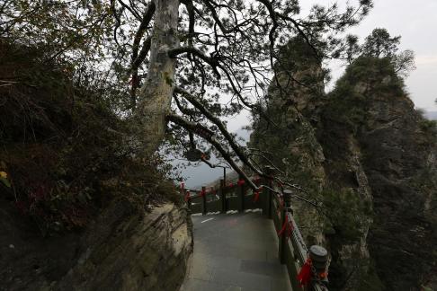 Mountain landscape 50