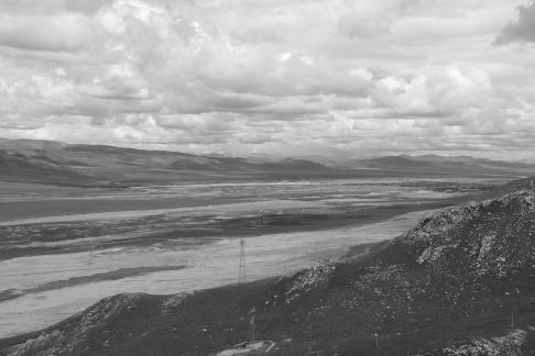 Tianlu Weaving Brocade 2