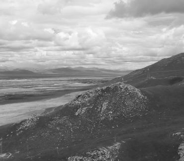 Tianlu Weaving Brocade 3