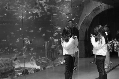 The Joy of Childhood 17