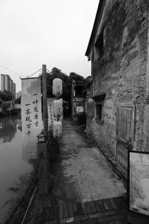 By the Water My Hometown 11