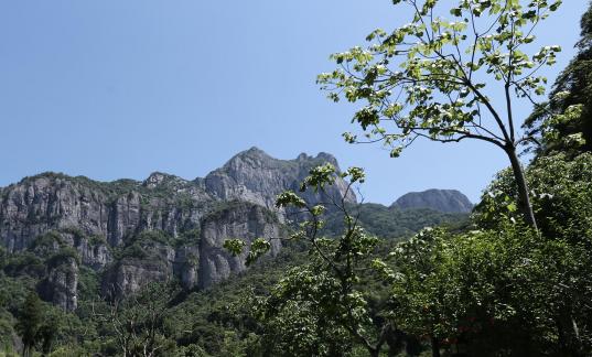 Blue Sky Clear Heart 1