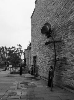 Brick Shadow Red Rose 1