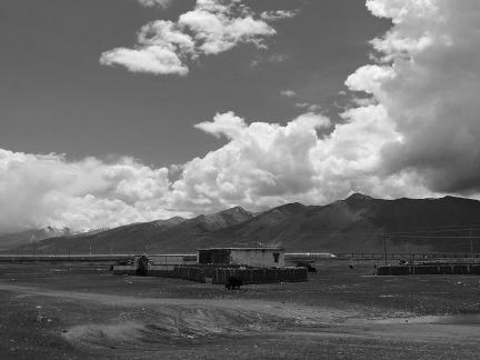 Yunmu Green Field 49