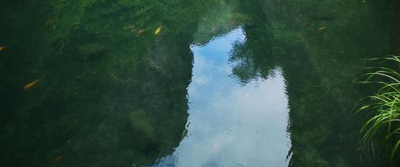 Water reflecting green mountains