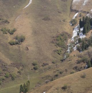 Winter Green Space 5