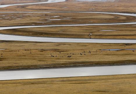 Towards the Far River 22